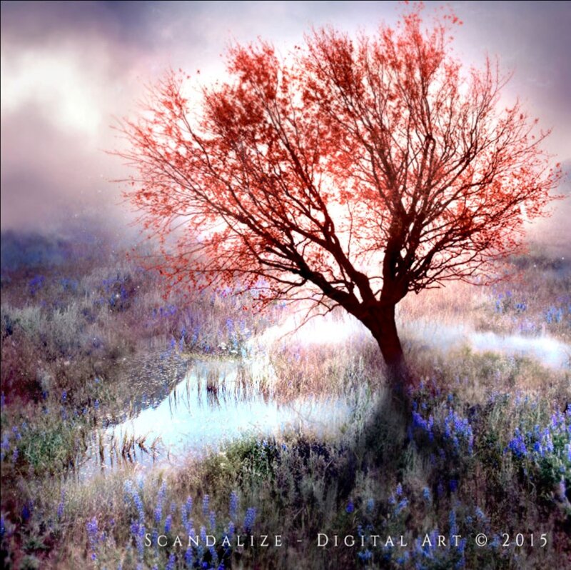 Red-leafed Tree in Field — Red, Dreamy