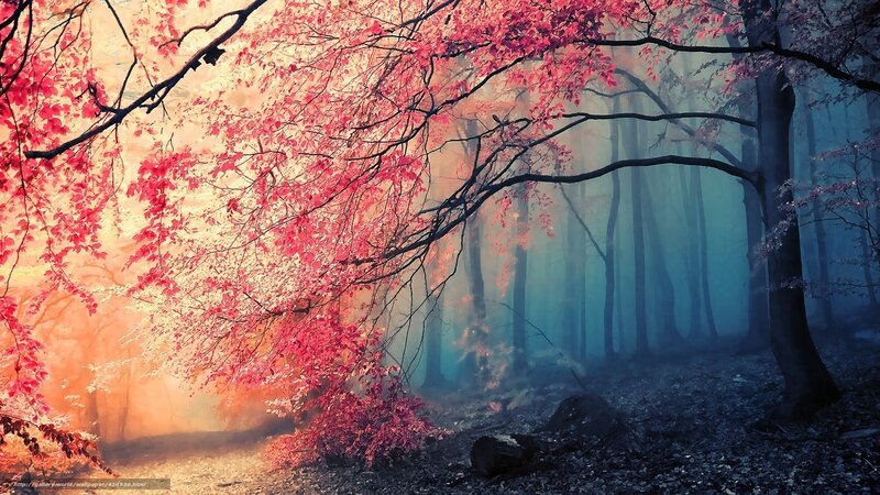Red-leafed Tree in Forest — Red, Mystical, Autumn, Digital Art, Trees