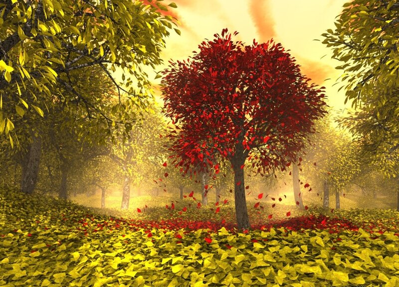 Red-leafed Tree in Forest — Red, Serene, Autumn, Digital Art