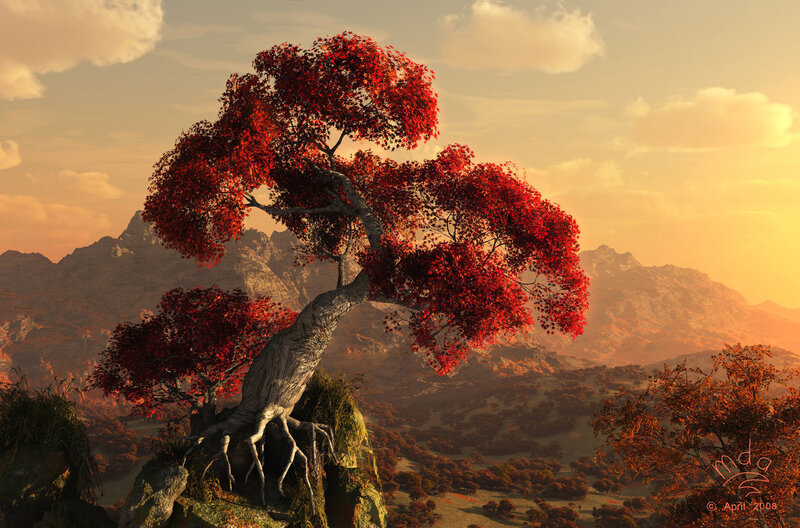 Red-leafed tree on a cliff