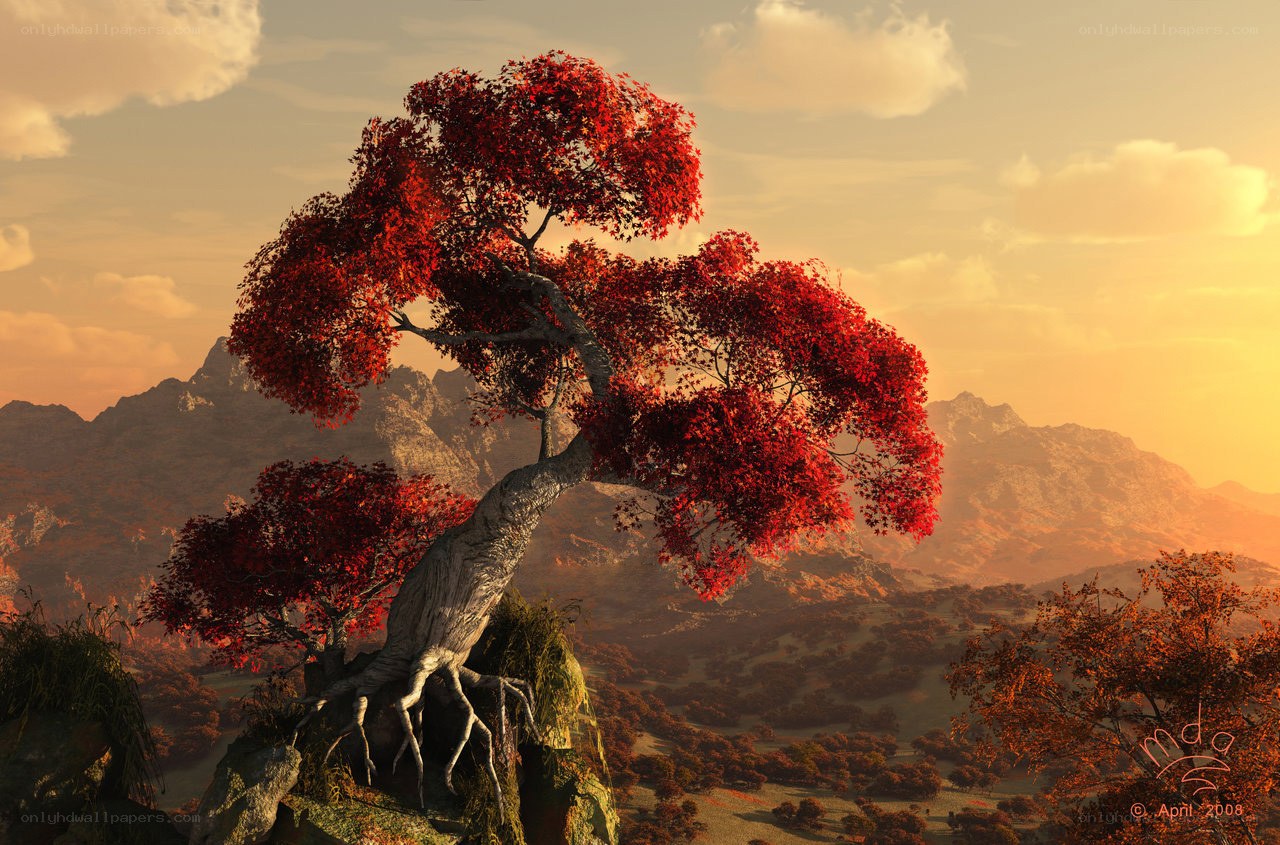 Red-leafed tree on a cliff