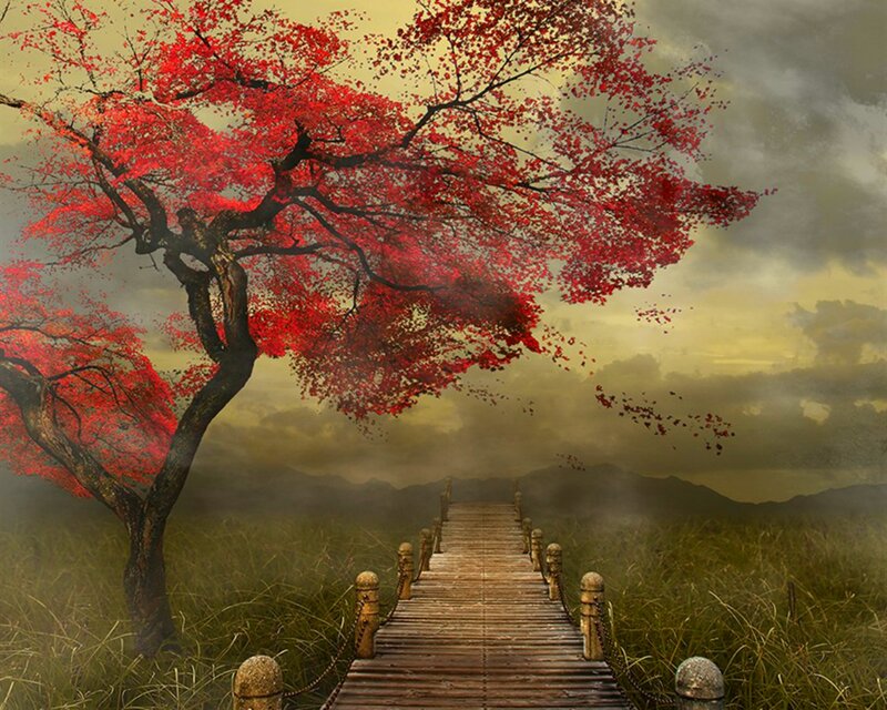 Red-leafed Tree on Bridge