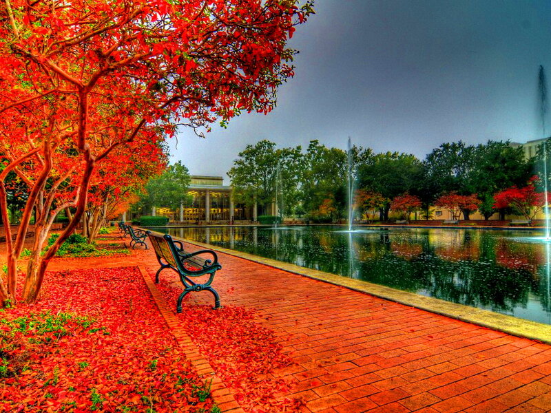 Red-leafed Trees by Pond
