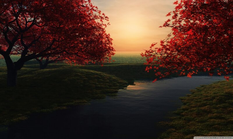 Red-leafed Trees by River