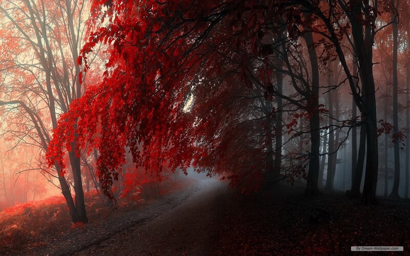 Red-leafed Trees in Forest — Red, Mysterious, Autumn, Digital Art