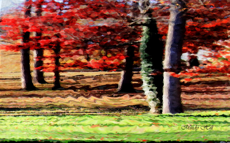 Red-leafed Trees in Park — Red, Serene