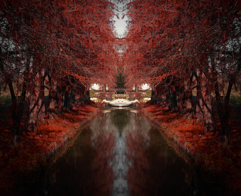 Red-leafed Trees over Canal