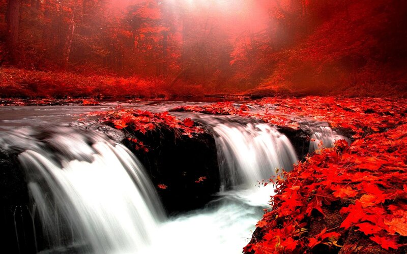Red-leafed Waterfall — Red, Dramatic, Autumn