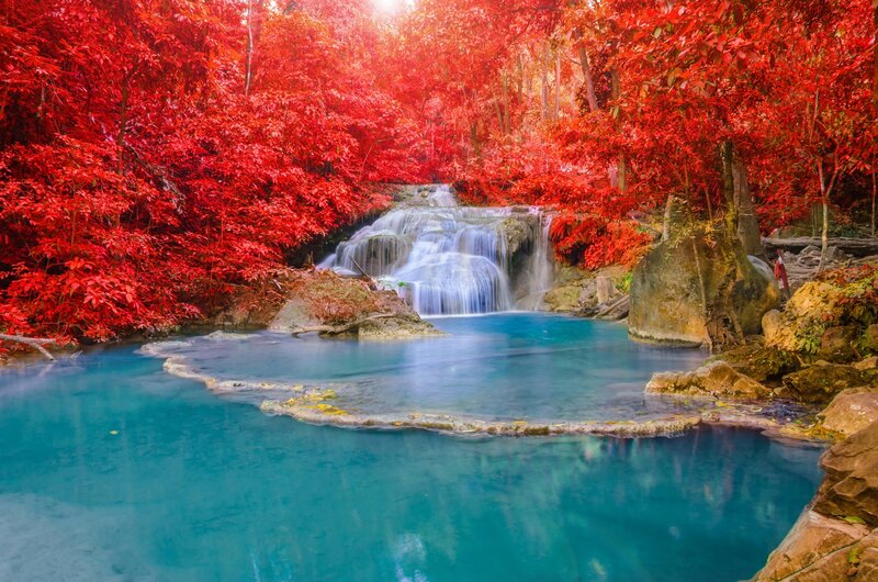Red-leafed Waterfall — Red, Serene, Afternoon, Photograph