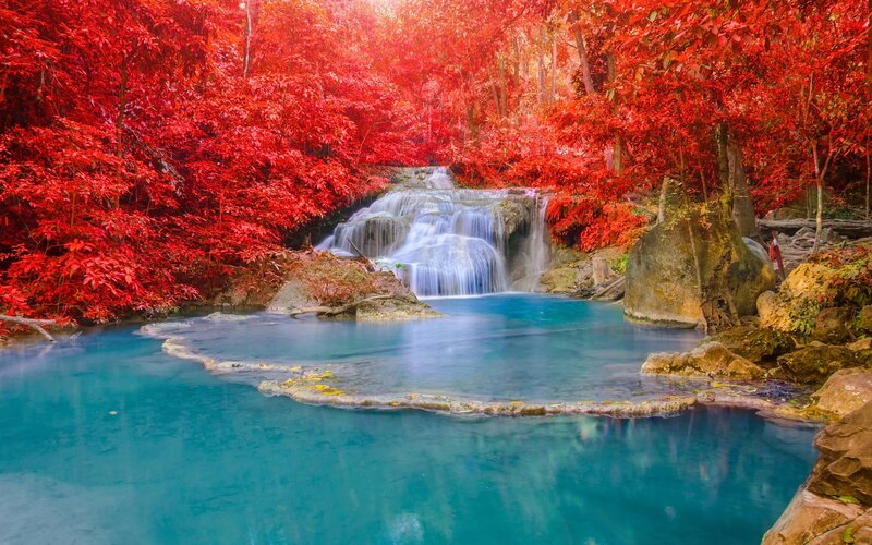 Red-leafed Waterfall — Red, Serene, Afternoon