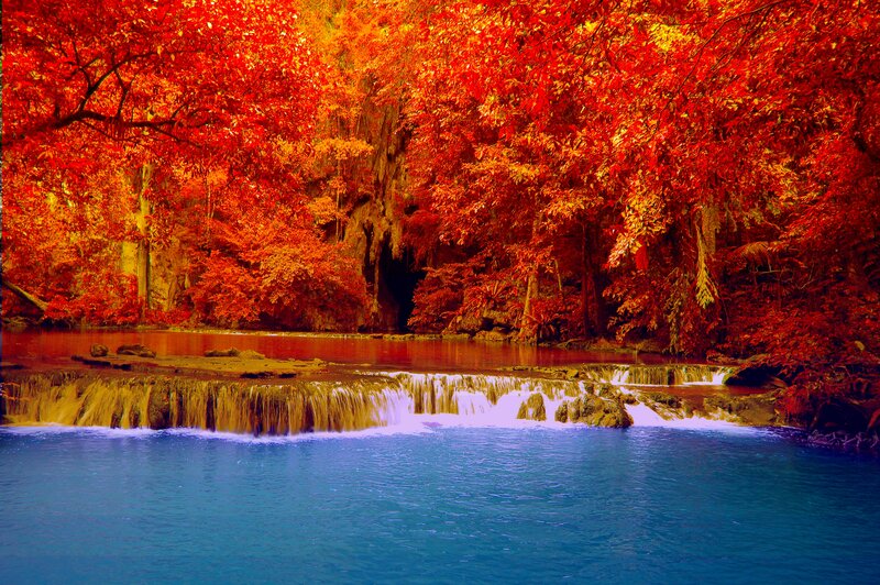 Red-leafed Waterfall — Red
