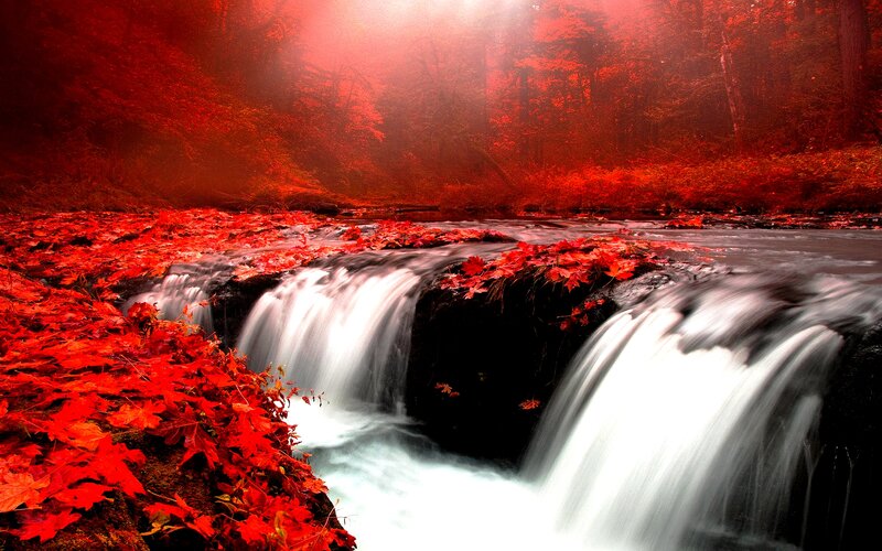 Red-leafed Waterfall