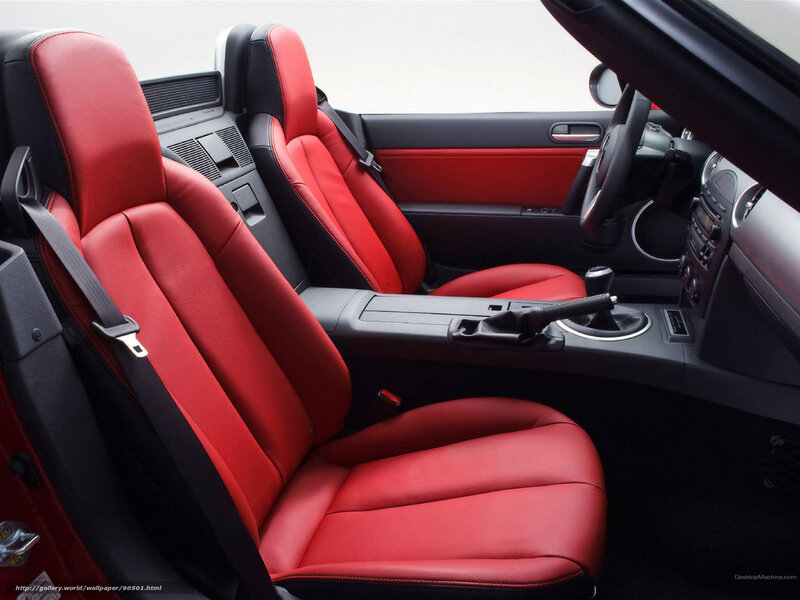 Red Leather Car Seats — Neutral