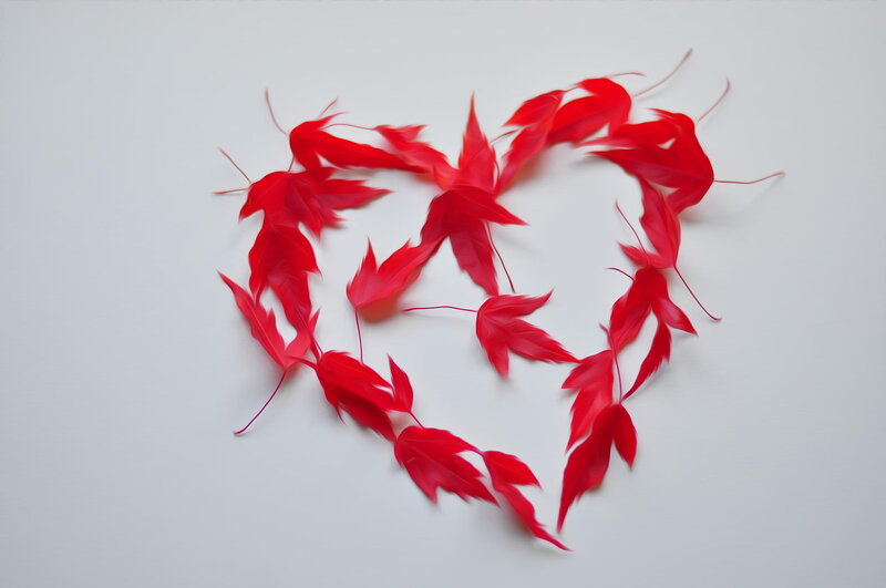 Red Leaves Arranged in Heart