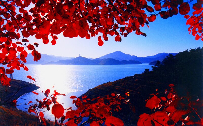 Red Leaves Framing Lake — Serene