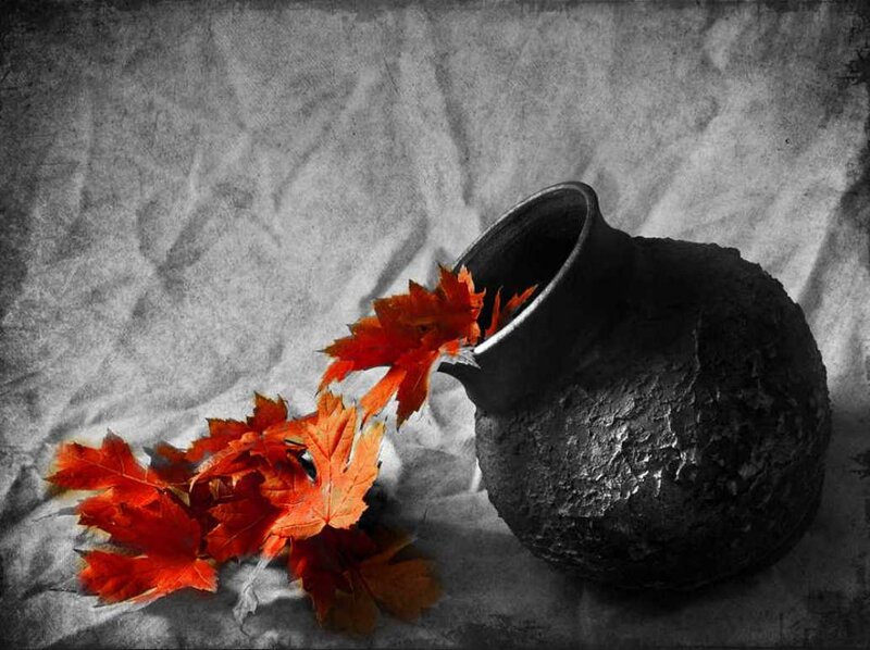 Red Leaves in a Vase