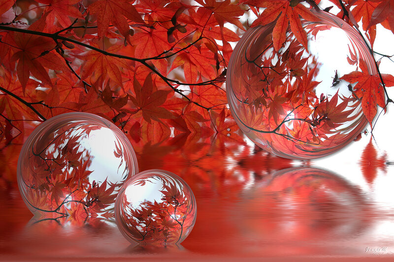 Red leaves in glass spheres