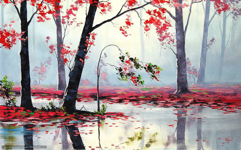 Red Leaves in Misty Forest