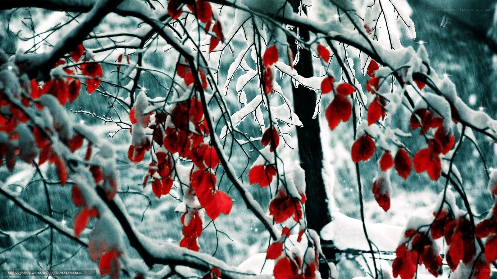 Red leaves in snow storm