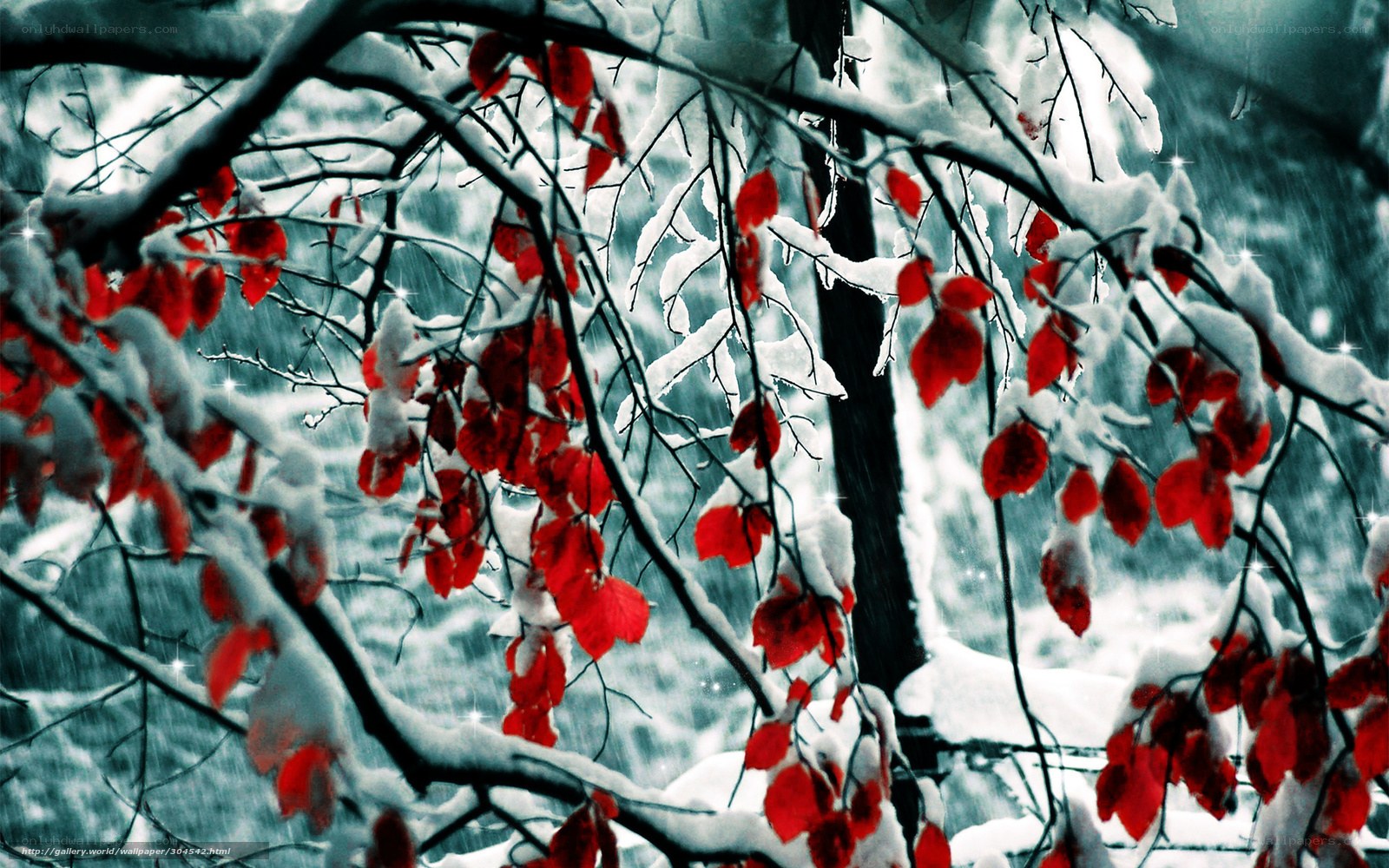 Red Leaves in Snowy Forest