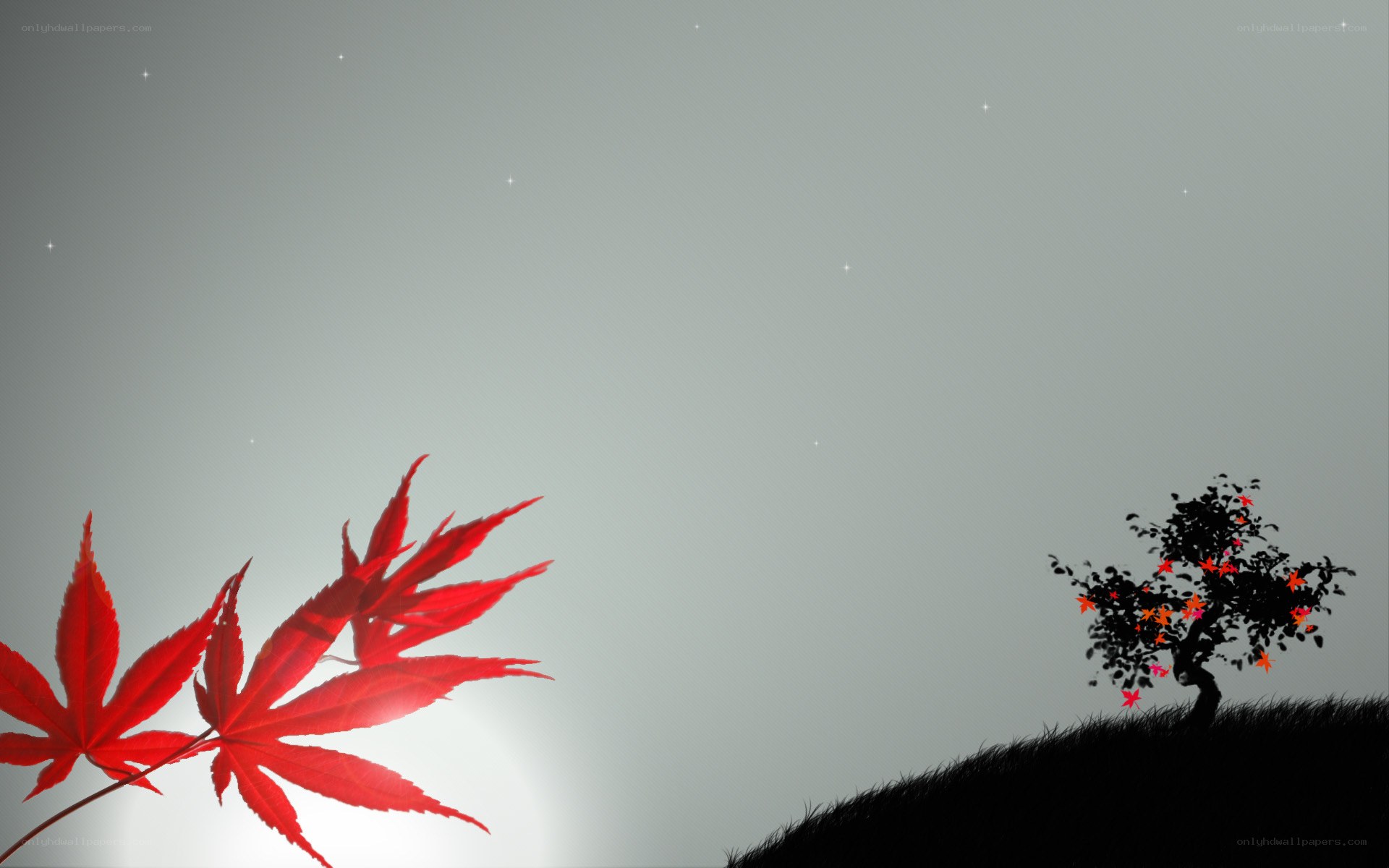 Red leaves on a hill