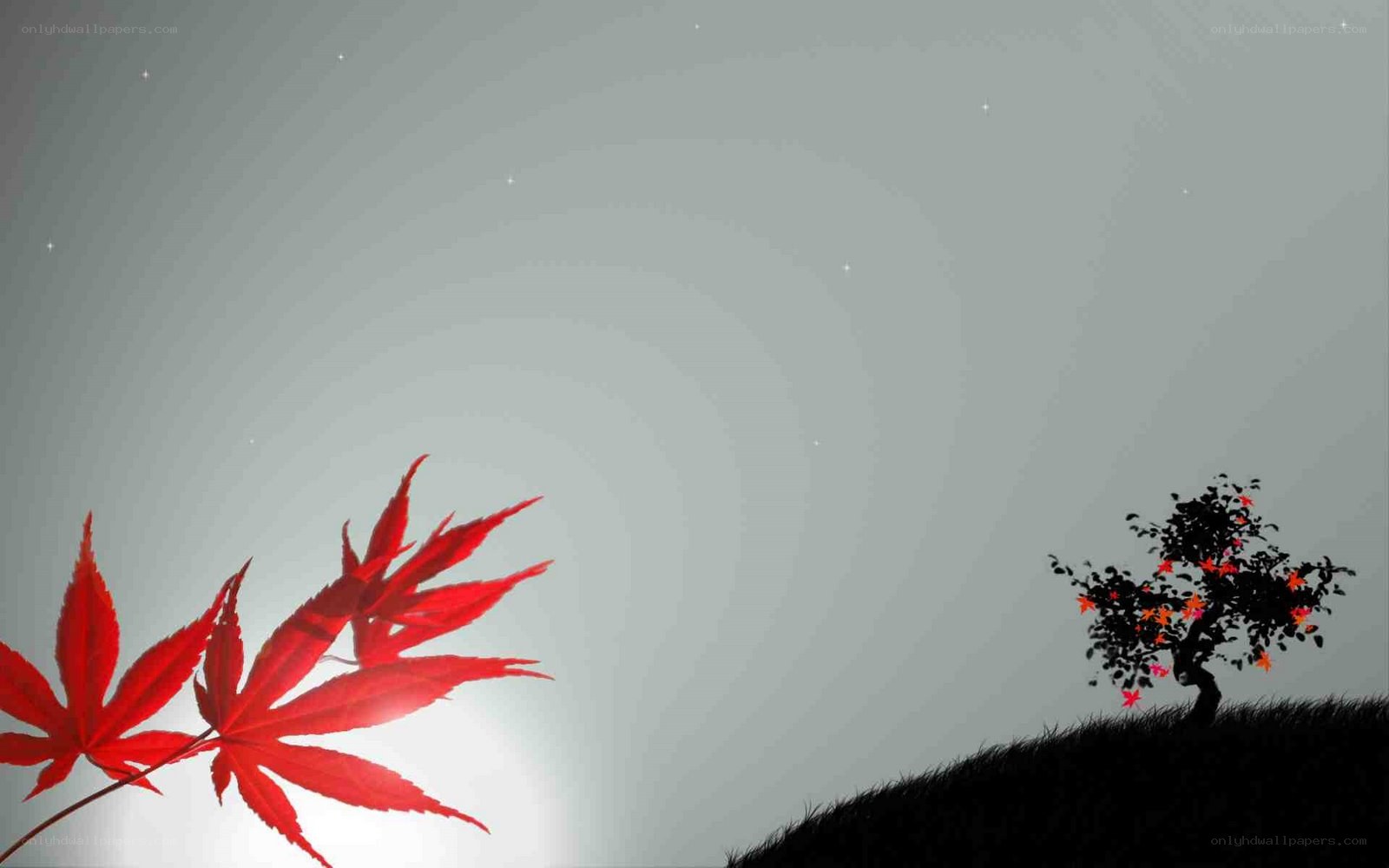 Red leaves on a hill