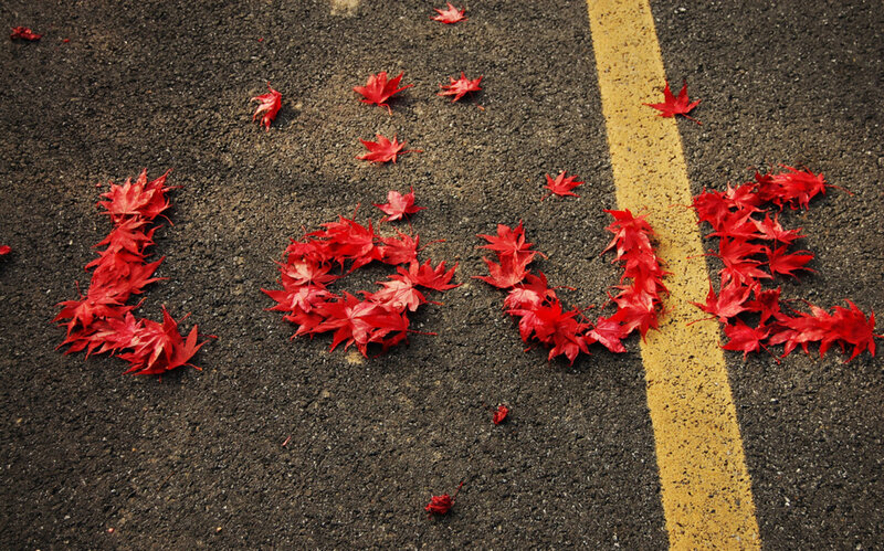 Red Leaves on Asphalt