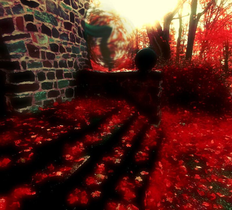 Red Leaves on Ground — Dramatic