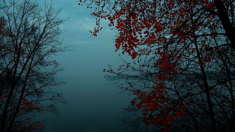 Red Leaves on Lake