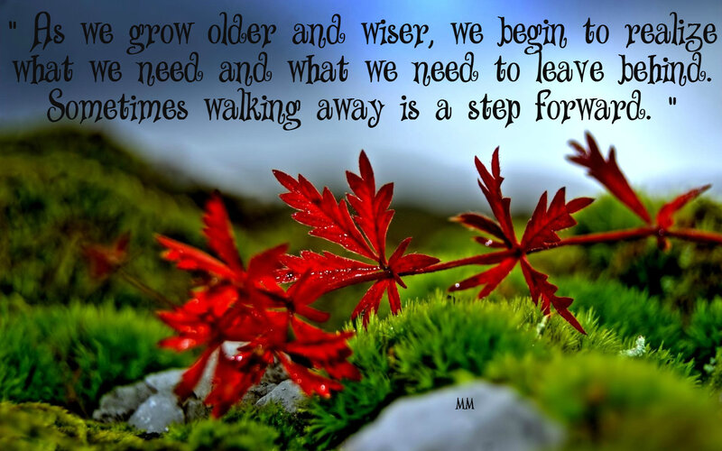 Red Leaves on Moss — Green