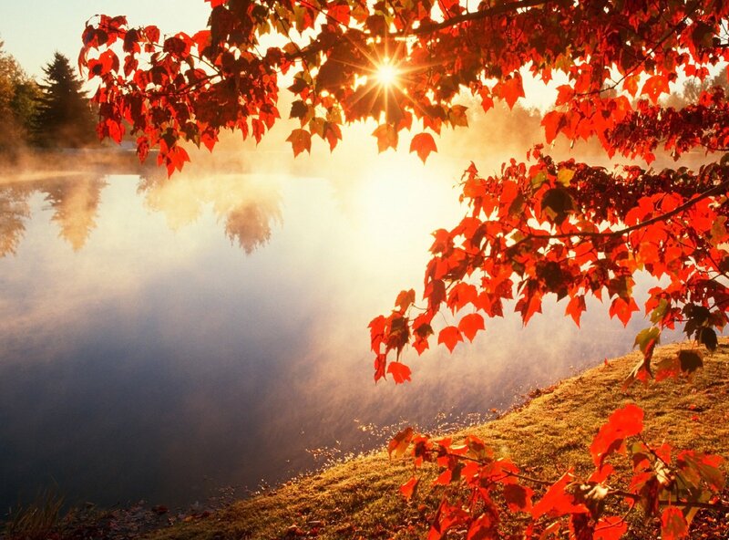 Red Leaves over Lake — Serene, Autumn