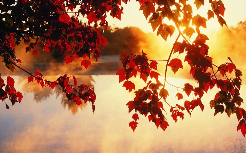 Red Leaves over Lake — Serene, Sunrise