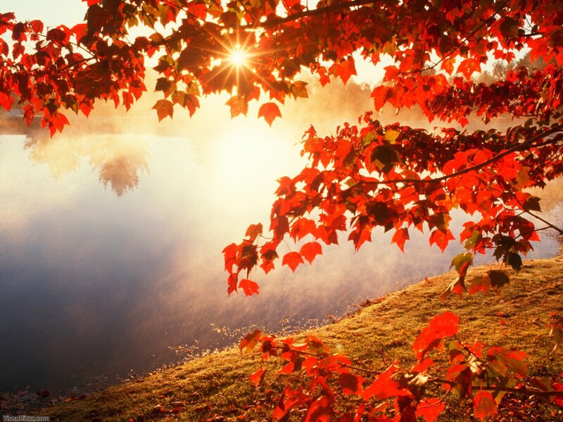Red Leaves over Lake — Serene