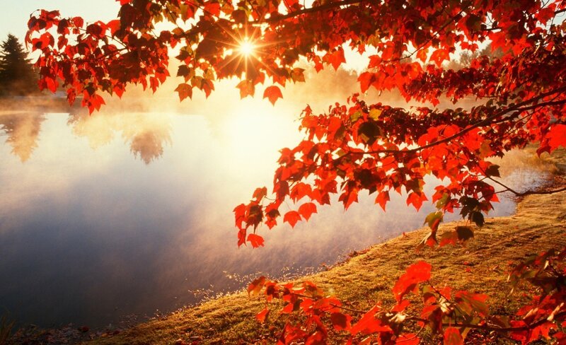 Red Leaves over Lake