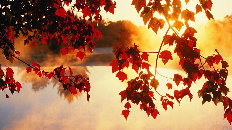 Red Leaves over Misty Lake — Serene