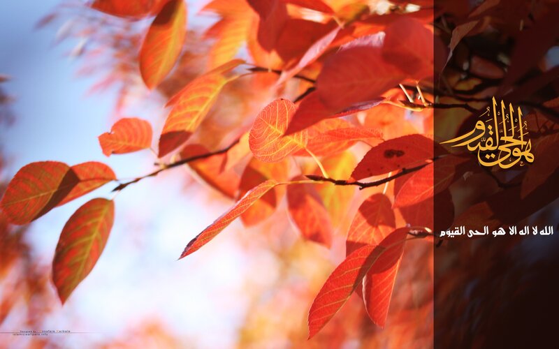 Red leaves with Arabic text