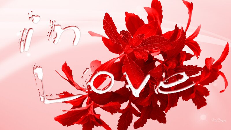 Red Leaves with Text