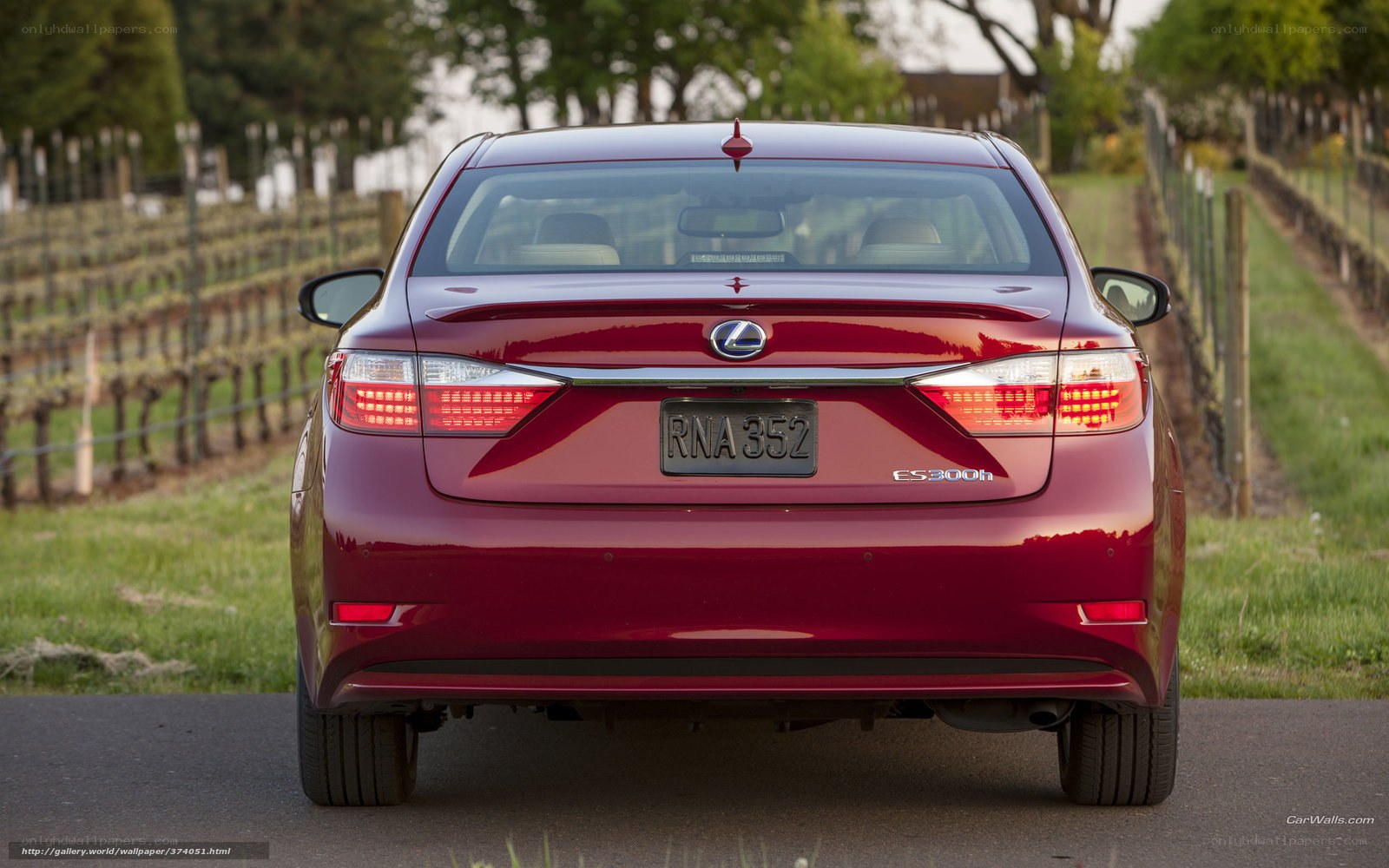 Red Lexus ES 300h rear view