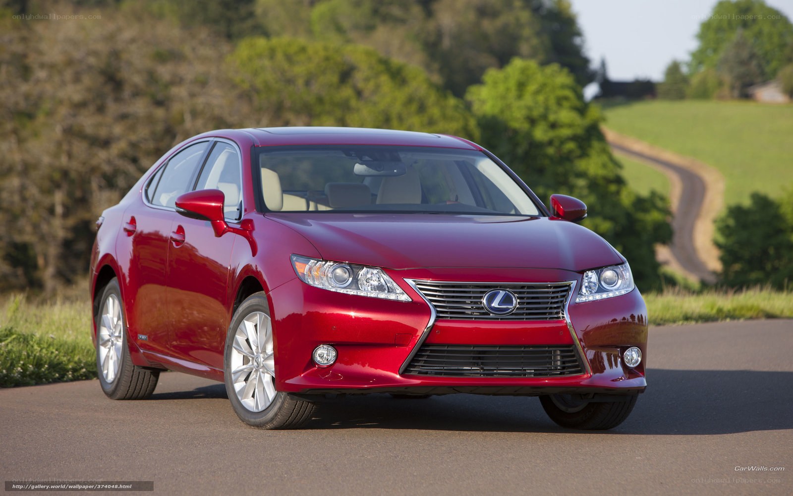 Red Lexus ES on a country road