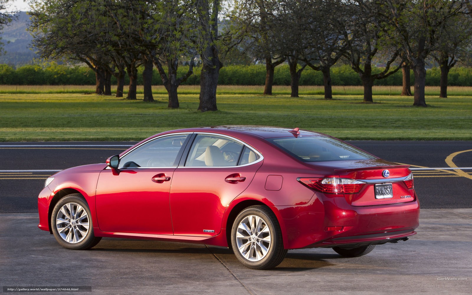 Red Lexus ES sedan on road