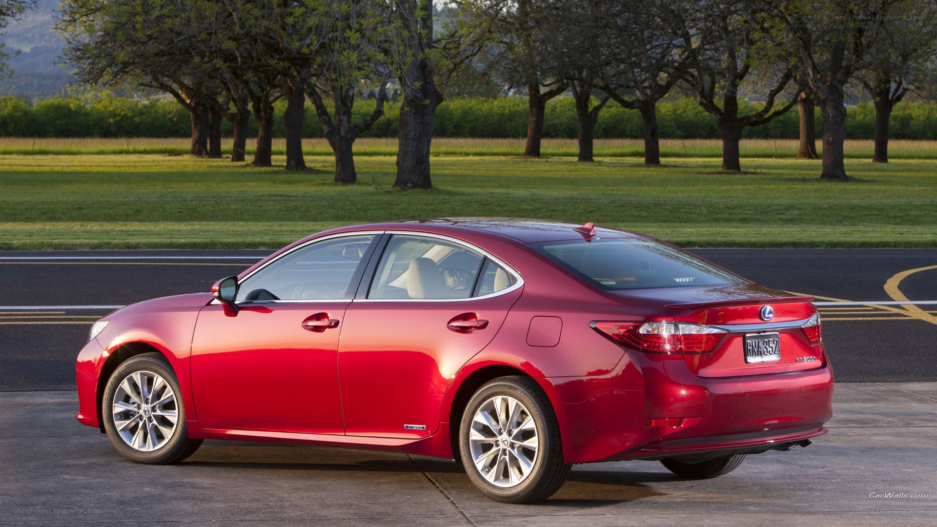 red lexus sedan on road