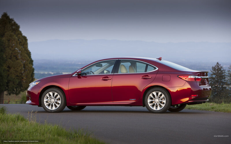 Red Lexus Sedan — Serene, Afternoon, Photograph, Car, Road, Tree