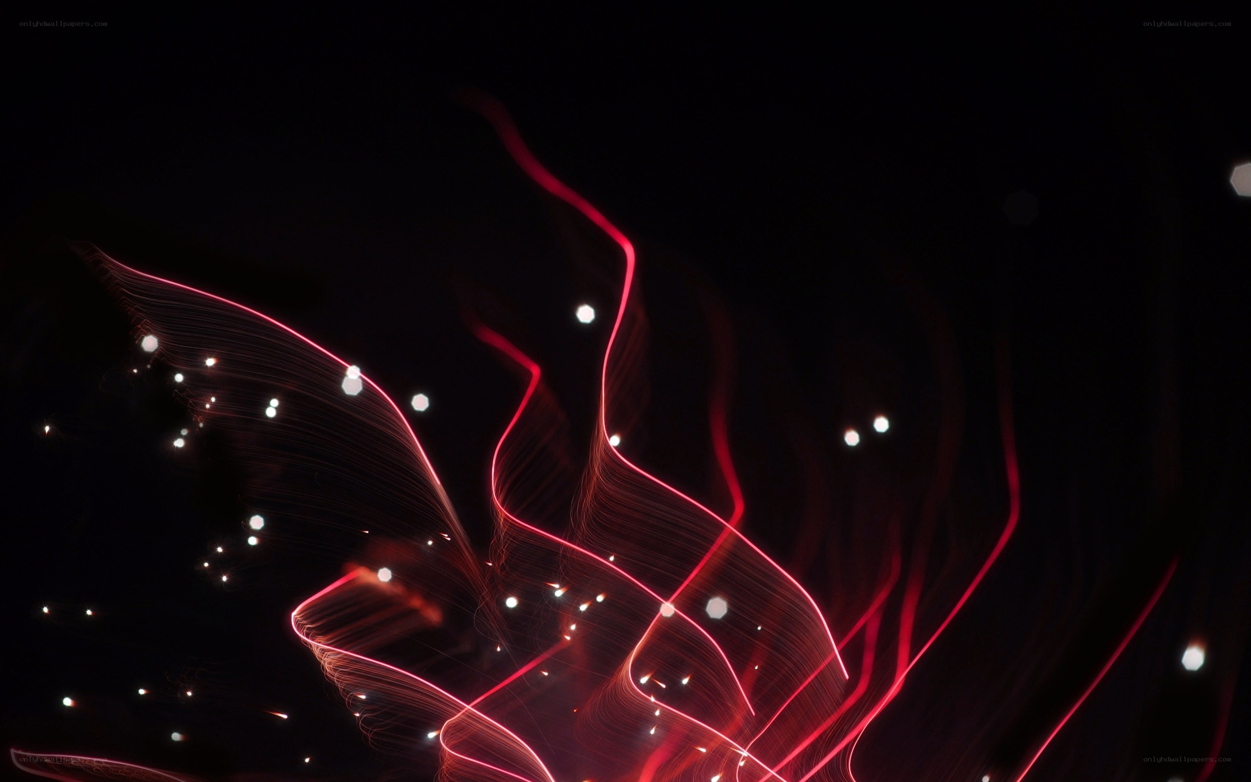 Red light trails in darkness