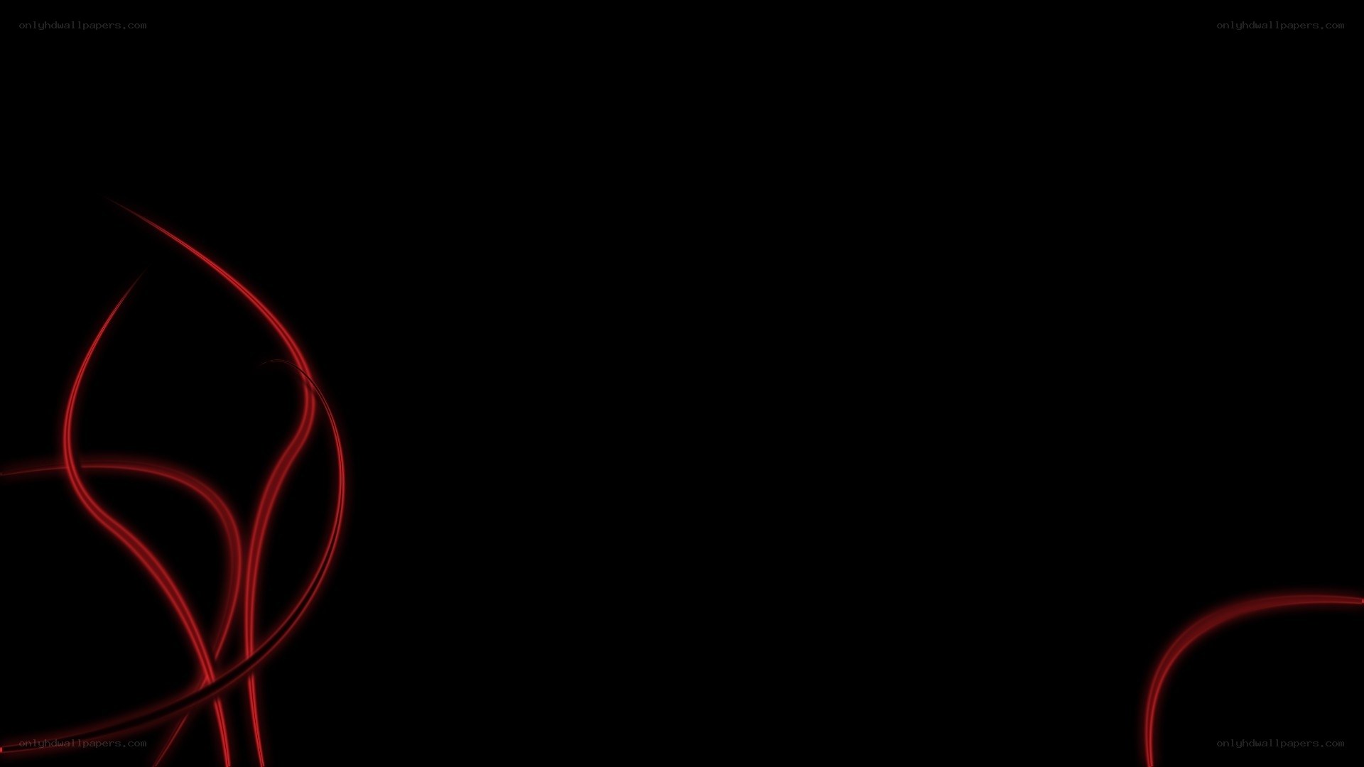 Red light trails on black