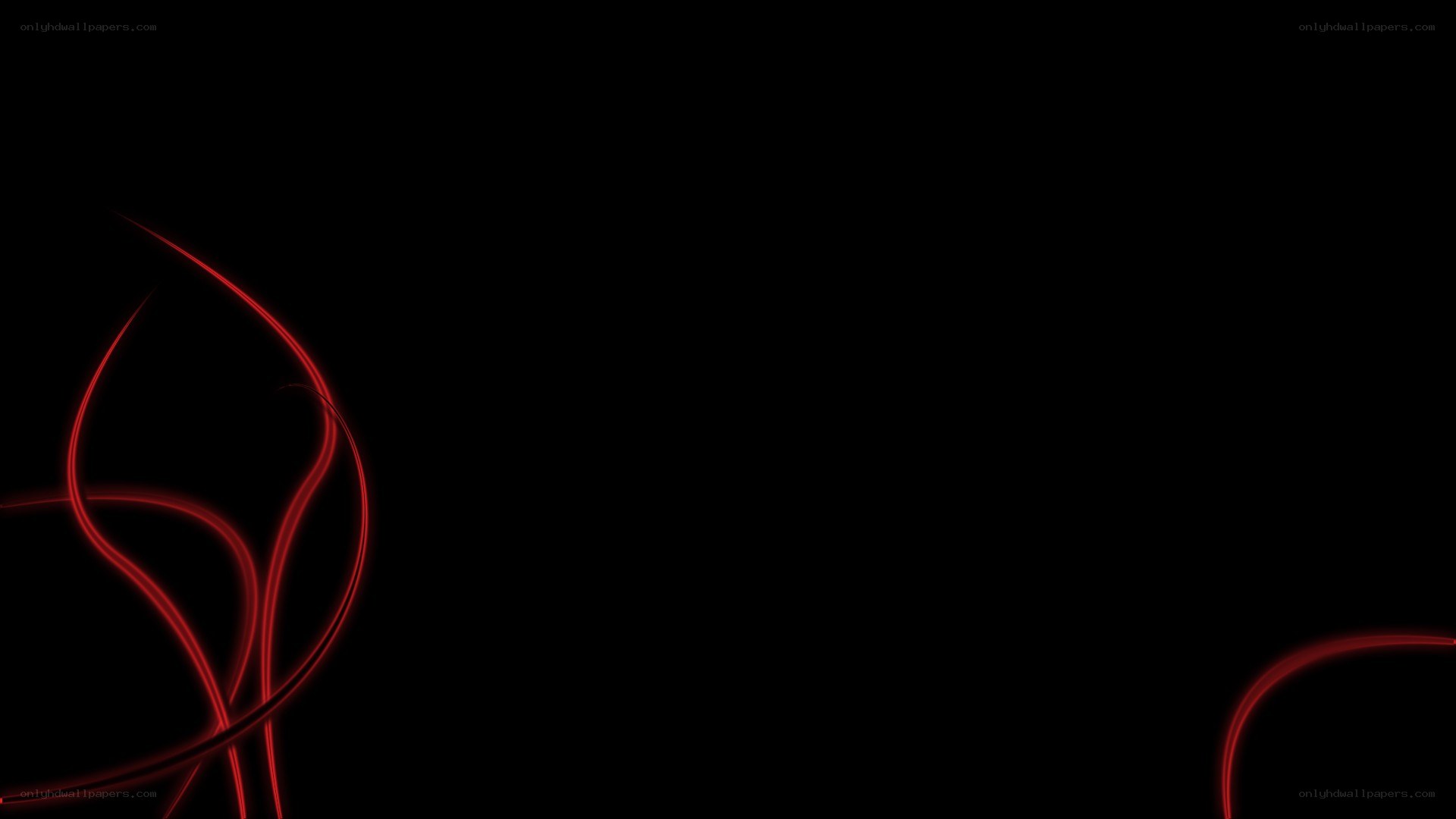 red light trails on black