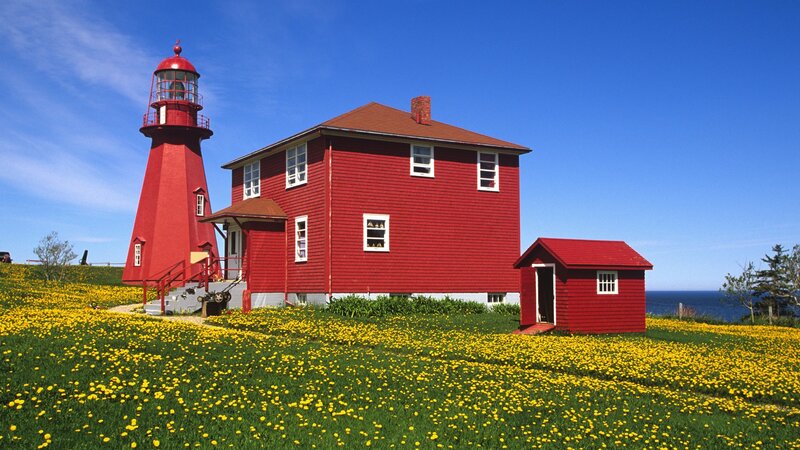 Red lighthouse on a dandelion field