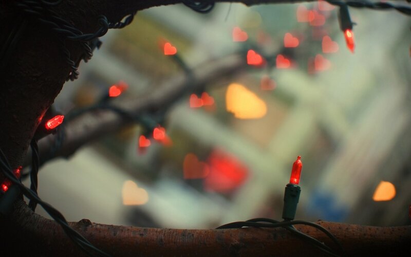 Red Lights on Tree Branches