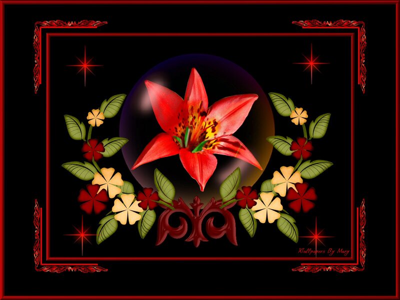 Red Lily Flower — Black, Dramatic