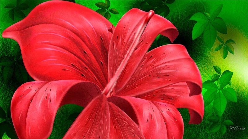 Red Lily Flower — Vibrant, Digital Art, Green Leaves, Grass