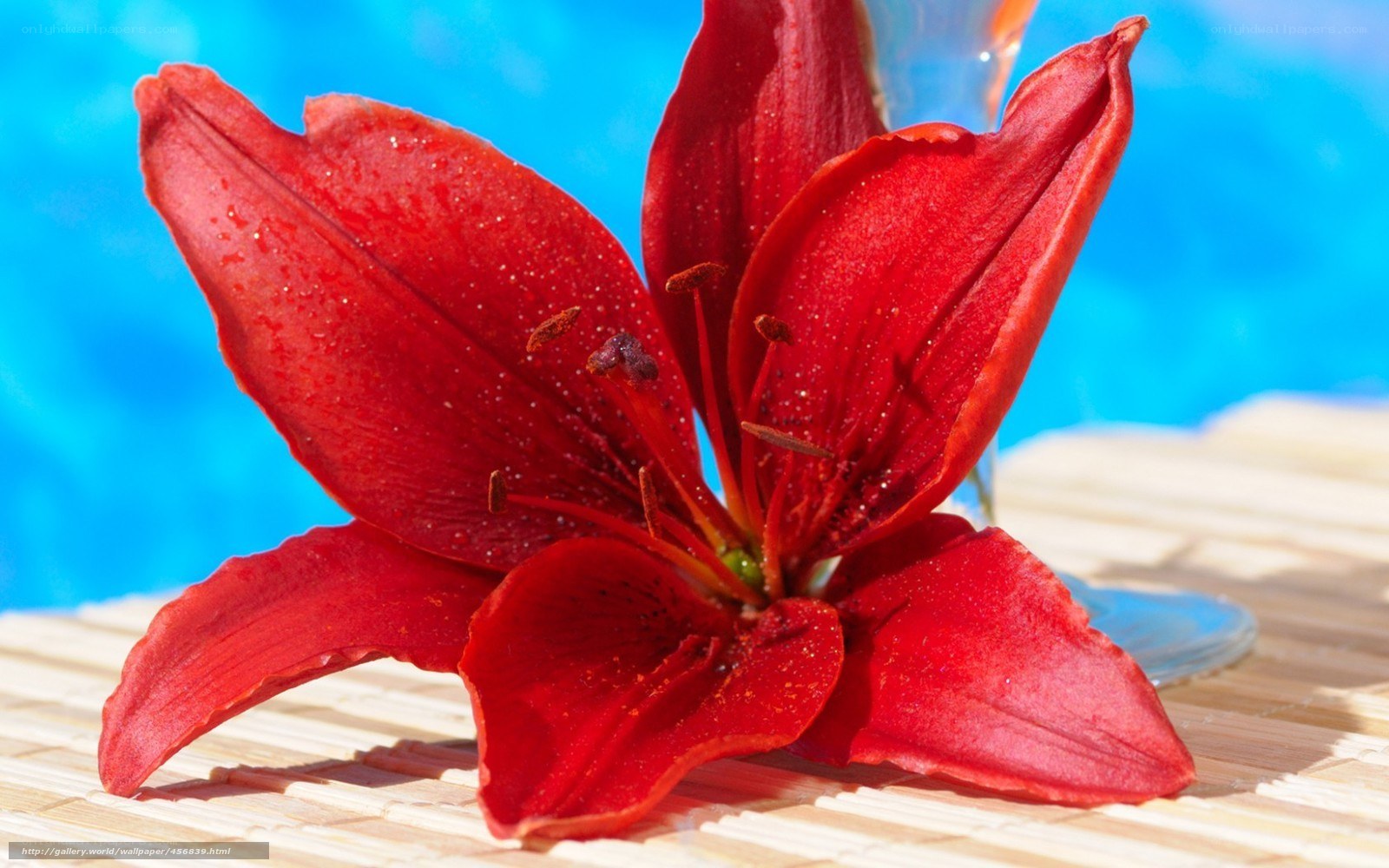 Red lily on bamboo mat